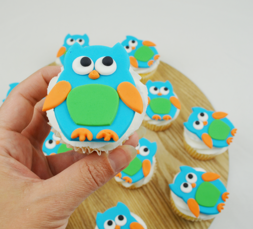 boy owl cupcakes