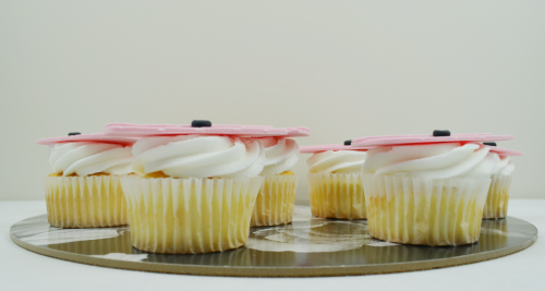 handbag cupcakes