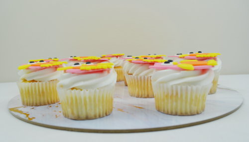 owl cupcakes